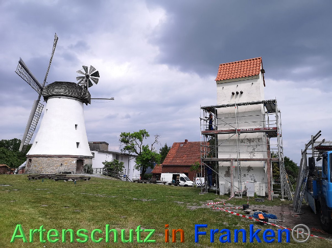 © Artenschutz in Franken® / A. Vennemann Bild zum Eintrag (1024756-160)