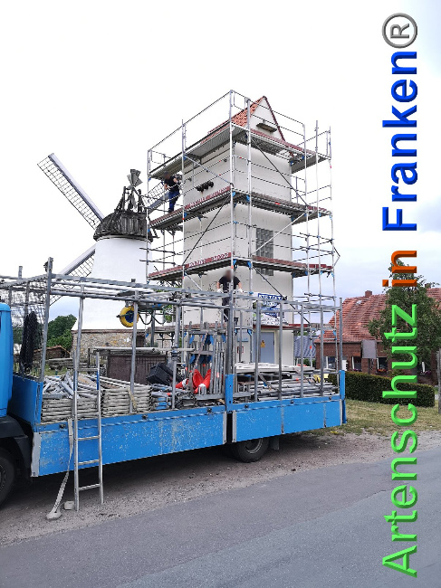 © Artenschutz in Franken® / A. Vennemann Bild zum Eintrag (1024758-160)