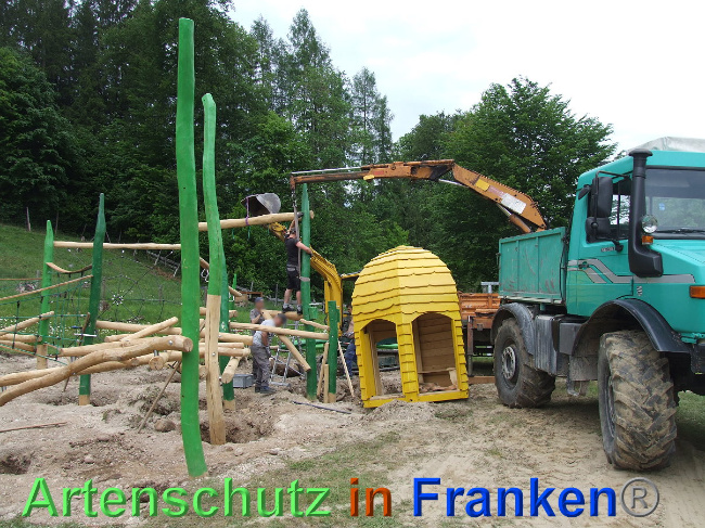 © Artenschutz in Franken® / Mehrtens Bild zum Eintrag (1024766-160)