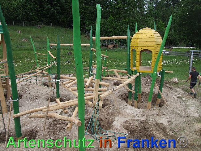 © Artenschutz in Franken® / Mehrtens Bild zum Eintrag (1024767-160)