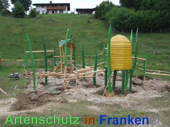 © Artenschutz in Franken® / Mehrtens Bild zum Eintrag (1024768-160)