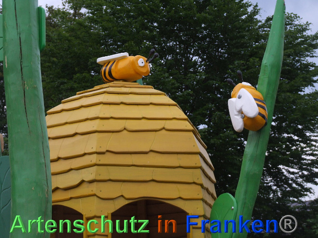 © Artenschutz in Franken® / Mehrtens Bild zum Eintrag (1024771-160)