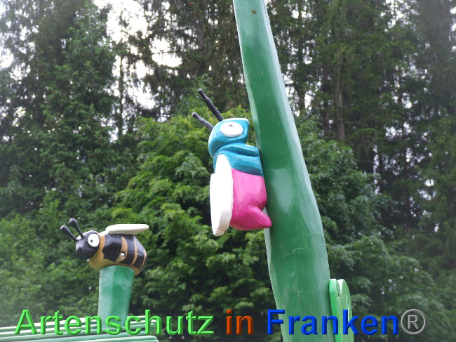 © Artenschutz in Franken® / Mehrtens Bild zum Eintrag (1024772-160)