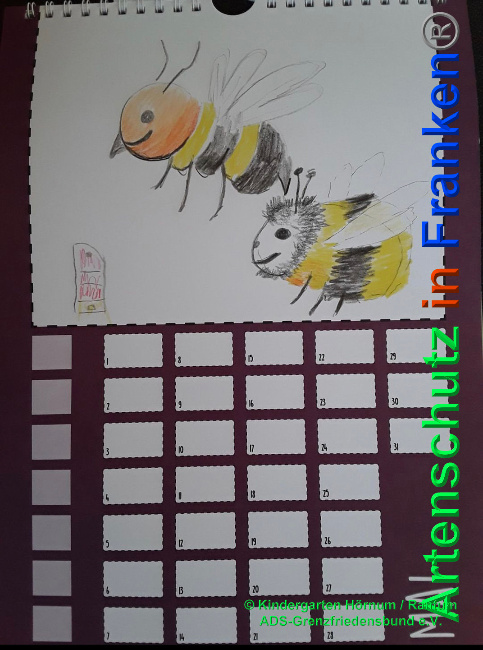 © Artenschutz in Franken® / Kindergarten Hörnum / Rantum ADS-Grenzfriedensbund e.V. Bild zum Eintrag (1024806-160)