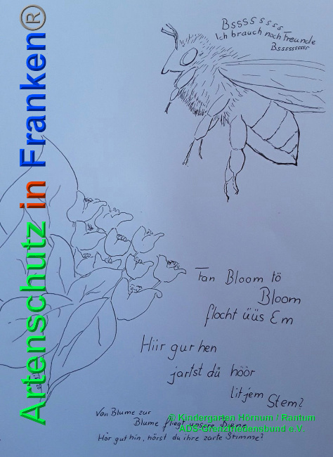 © Artenschutz in Franken® / Kindergarten Hörnum / Rantum ADS-Grenzfriedensbund e.V. Bild zum Eintrag (1024809-160)