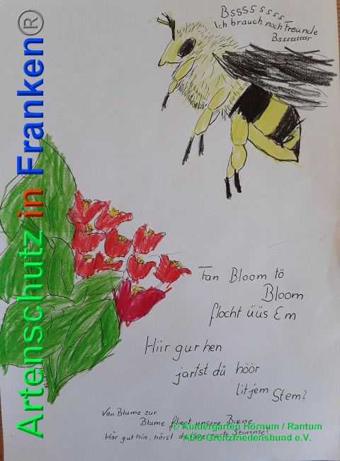 © Artenschutz in Franken® / Kindergarten Hörnum / Rantum ADS-Grenzfriedensbund e.V. Bild zum Eintrag (1024810-160)