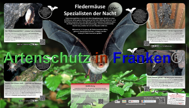 © Artenschutz in Franken® Bild zum Eintrag (1024862-160)