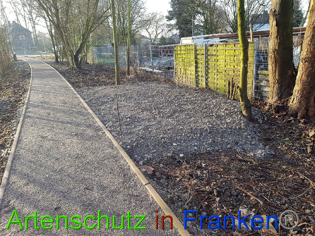 © Artenschutz in Franken® Sonfeld Bild zum Eintrag (1024866-160)