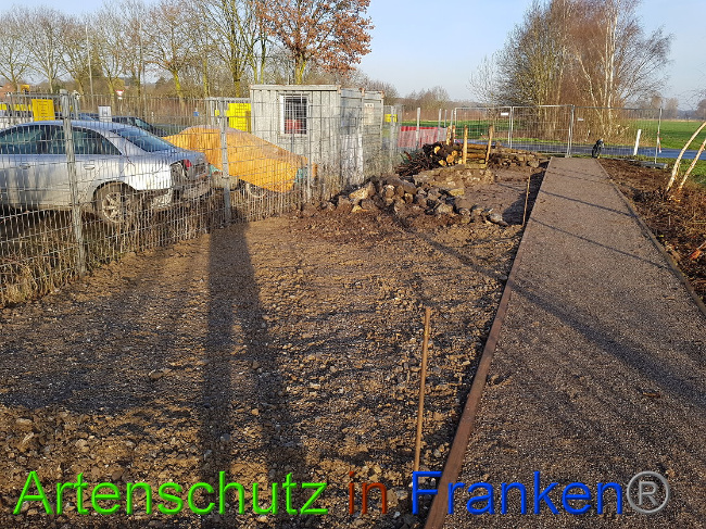 © Artenschutz in Franken® Bild zum Eintrag (1024867-160)
