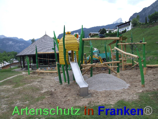 © Artenschutz in Franken® / Mehrtens Bild zum Eintrag (1024896-160)