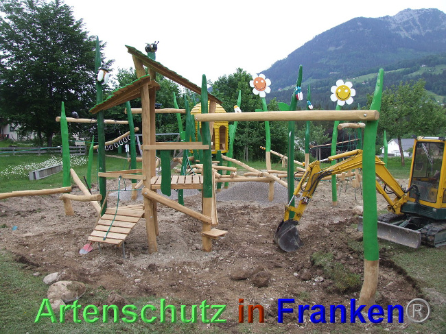 © Artenschutz in Franken® / Mehrtens Bild zum Eintrag (1024897-160)