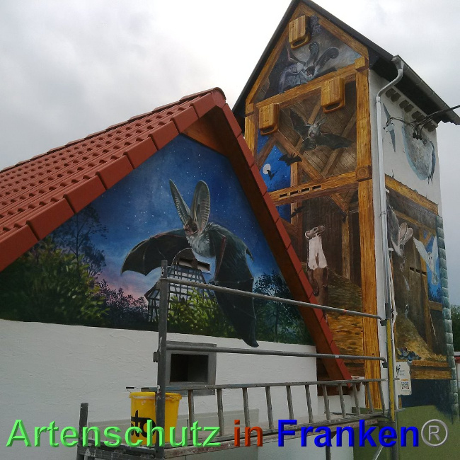 © Artenschutz in Franken® Bild zum Eintrag (1024909-160)
