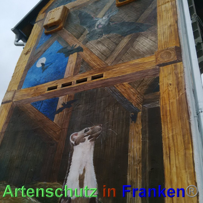 © Artenschutz in Franken® Bild zum Eintrag (1024910-160)