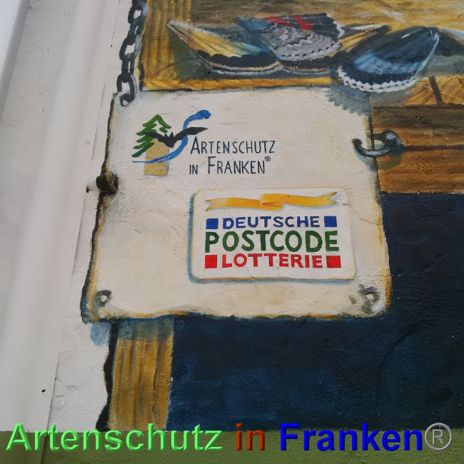 © Artenschutz in Franken® Bild zum Eintrag (1024913-160)