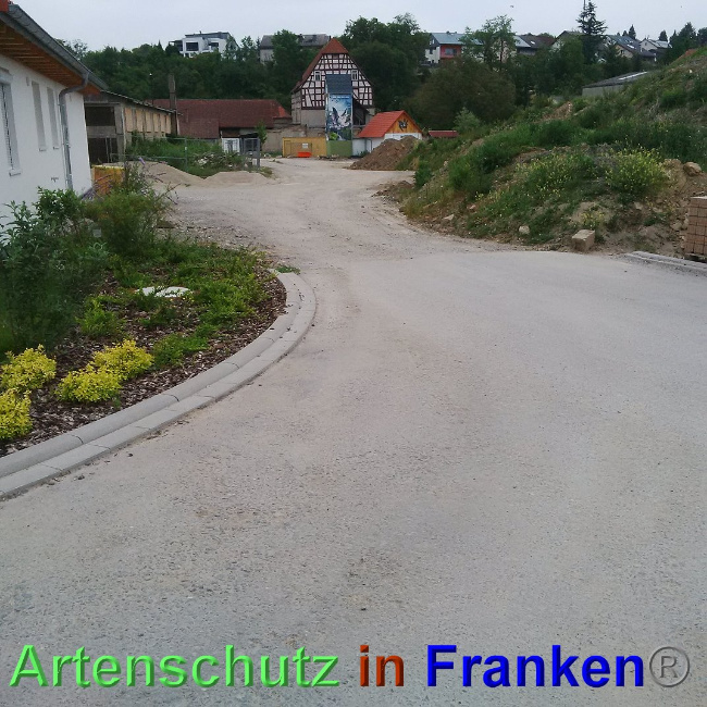 © Artenschutz in Franken® Bild zum Eintrag (1024916-160)