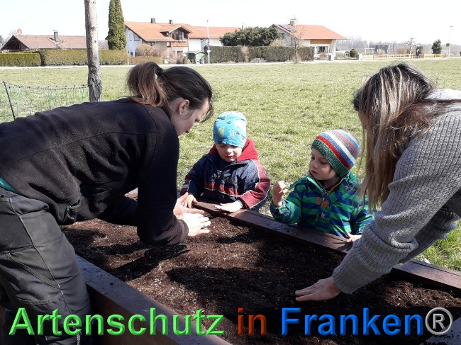 © Artenschutz in Franken® / Bauernhofkindergarten Lindenbaum Bild zum Eintrag (1025057-160)