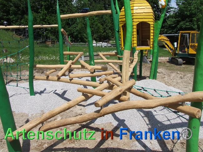 © Artenschutz in Franken® / Mehrtens Bild zum Eintrag (1025100-160)