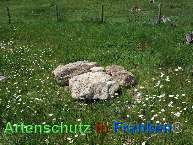 Bild zum Eintrag (1025108-160)