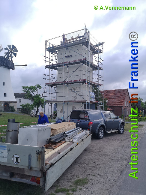 © Artenschutz in Franken® / Vennemann Bild zum Eintrag (1025213-160)