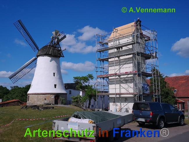 © Artenschutz in Franken® / Vennemann Bild zum Eintrag (1025214-160)