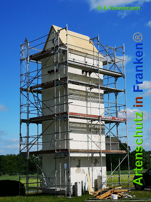 © Artenschutz in Franken® / Vennemann Bild zum Eintrag (1025217-160)