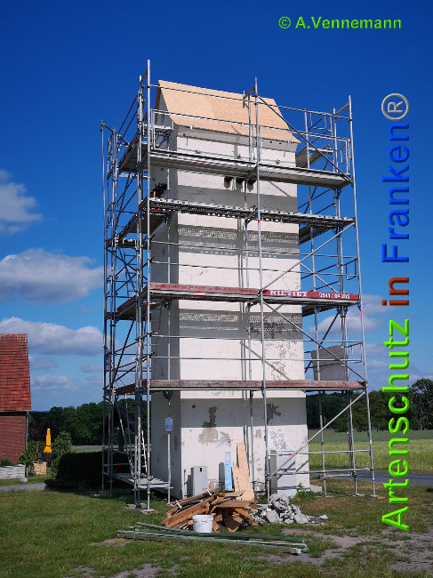 © Artenschutz in Franken® / Vennemann Bild zum Eintrag (1025219-160)