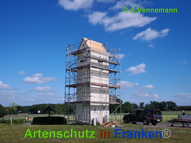 © Artenschutz in Franken® / Vennemann Bild zum Eintrag (1025220-160)