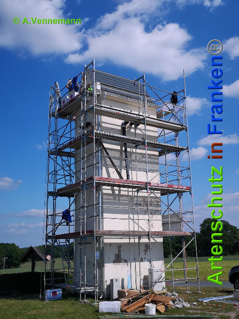 © Artenschutz in Franken® / Vennemann Bild zum Eintrag (1025266-160)