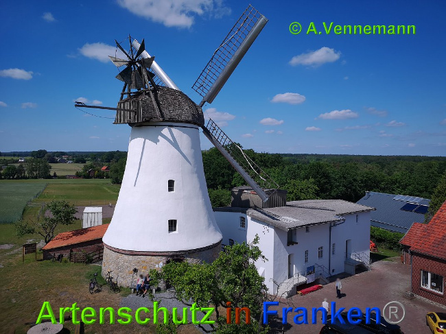 © Artenschutz in Franken® / Vennemann Bild zum Eintrag (1025270-160)
