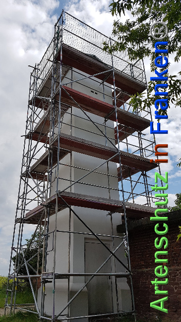 © Artenschutz in Franken® / Verband Naturpark „Unteres Saaletal“ e. V. Bild zum Eintrag (1025338-160)