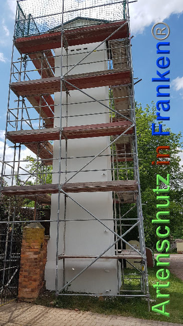 © Artenschutz in Franken® / Verband Naturpark „Unteres Saaletal“ e. V. Bild zum Eintrag (1025339-160)