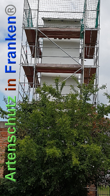 © Artenschutz in Franken® / Verband Naturpark „Unteres Saaletal“ e. V. Bild zum Eintrag (1025340-160)