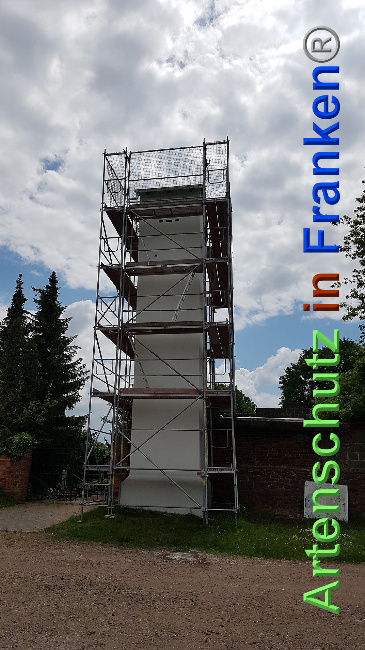 © Artenschutz in Franken® / Verband Naturpark „Unteres Saaletal“ e. V. Bild zum Eintrag (1025341-160)