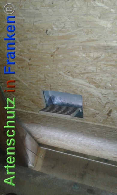 © Artenschutz in Franken® Bild zum Eintrag (1025356-160)
