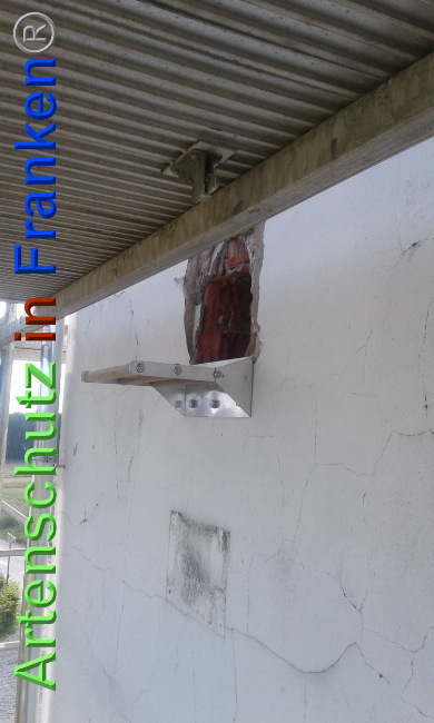 © Artenschutz in Franken® Bild zum Eintrag (1025378-160)