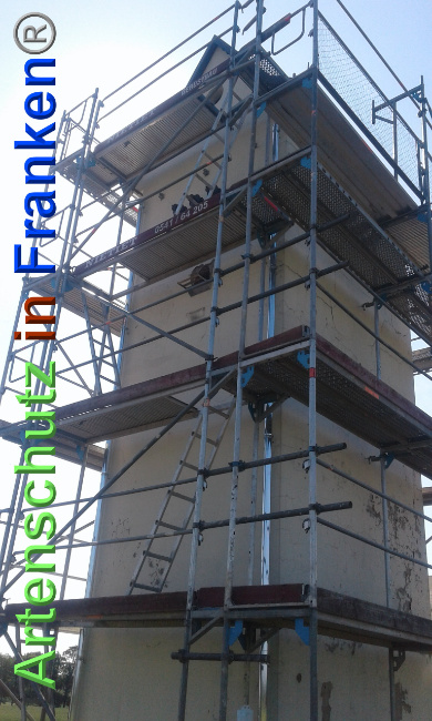 © Artenschutz in Franken® Bild zum Eintrag (1025379-160)
