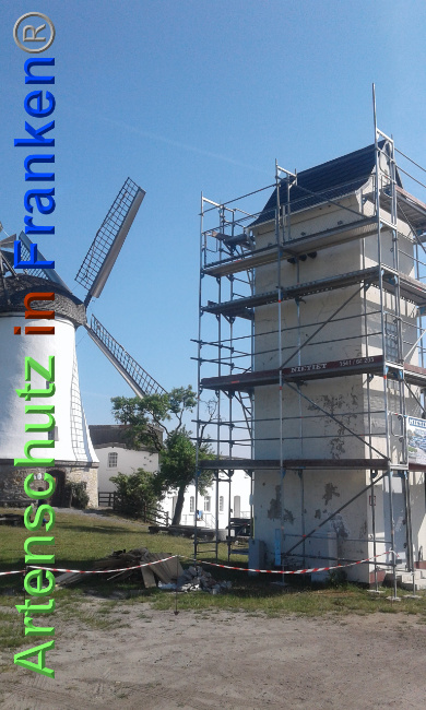 © Artenschutz in Franken® Bild zum Eintrag (1025381-160)