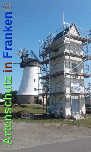 © Artenschutz in Franken® Bild zum Eintrag (1025384-160)