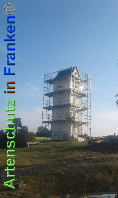 © Artenschutz in Franken® Bild zum Eintrag (1025387-160)