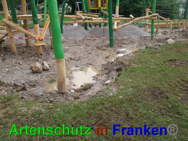 © Artenschutz in Franken® / Mehrtens Bild zum Eintrag (1025496-160)