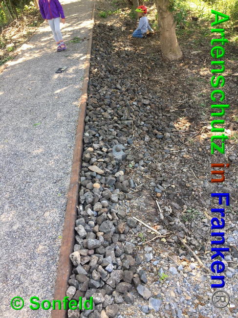 © Artenschutz in Franken® / Sonfeld Bild zum Eintrag (1025561-160)