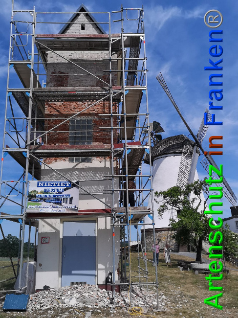 © Artenschutz in Franken® / Vennemann Bild zum Eintrag (1025712-160)
