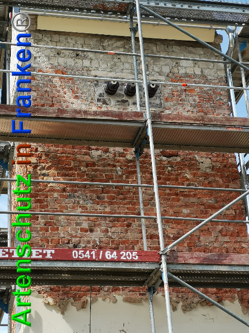 © Artenschutz in Franken® / Vennemann Bild zum Eintrag (1025716-160)