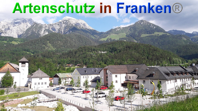 © Artenschutz in Franken® / Volkmar Greb Bild zum Eintrag (1025743-160)