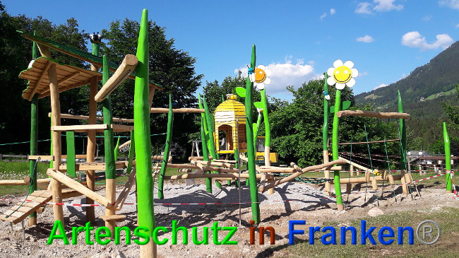 © Artenschutz in Franken® / Volkmar Greb Bild zum Eintrag (1025745-160)