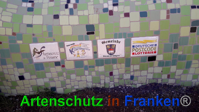 © Artenschutz in Franken® / Volkmar Greb Bild zum Eintrag (1025750-160)