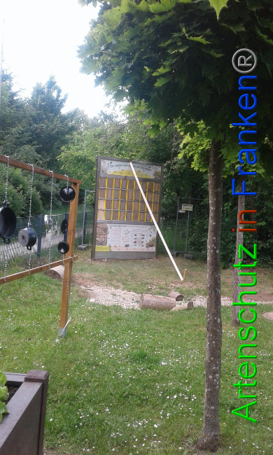 © Artenschutz in Franken® Bild zum Eintrag (1025842-160)