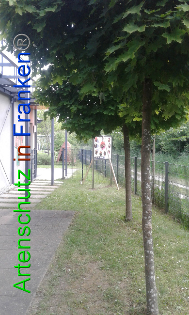 © Artenschutz in Franken® Bild zum Eintrag (1025843-160)