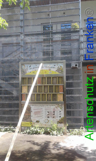 © Artenschutz in Franken® Bild zum Eintrag (1025861-160)