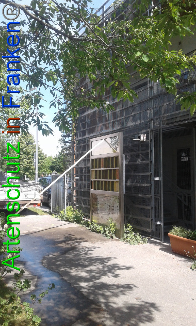 © Artenschutz in Franken® Bild zum Eintrag (1025863-160)